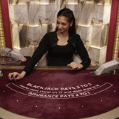 Blackjack VIP 15 screenshot